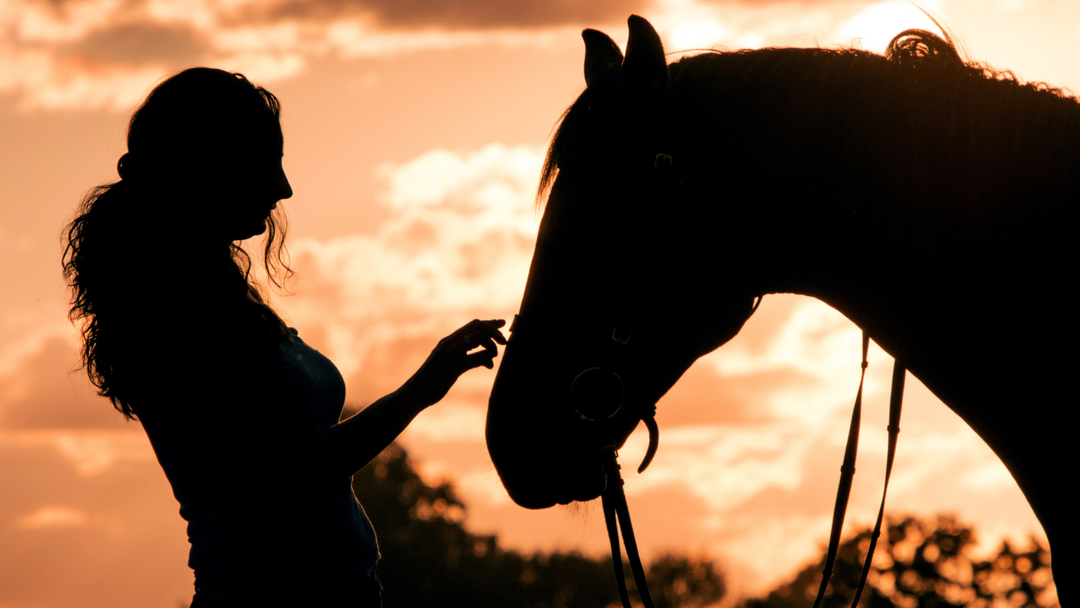 The Fire Horse Year, Postpartum Recovery, and Why Nourishment Matters More Than Ever A Chinese Medicine Perspective