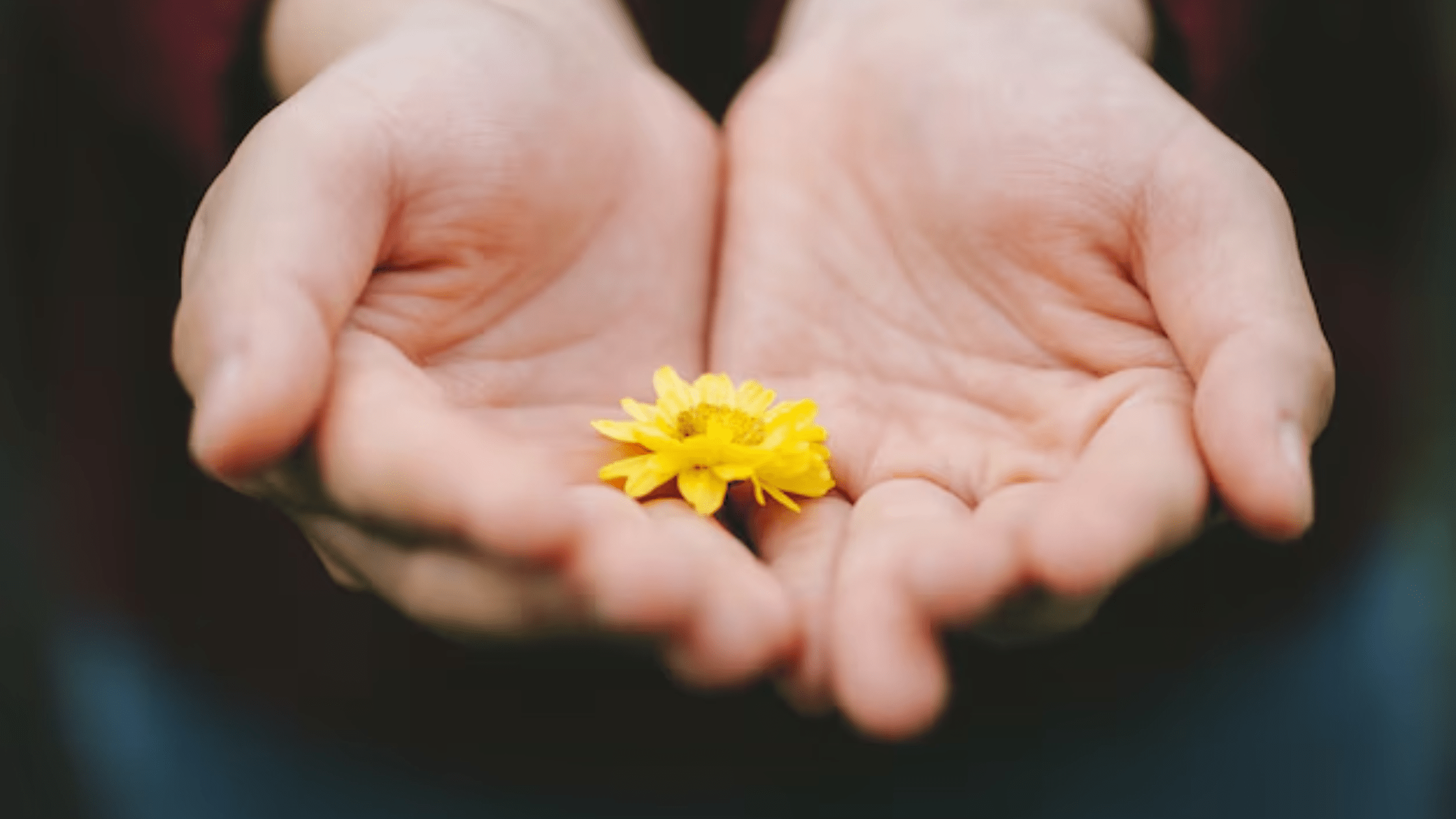 Resources for Navigating Loss