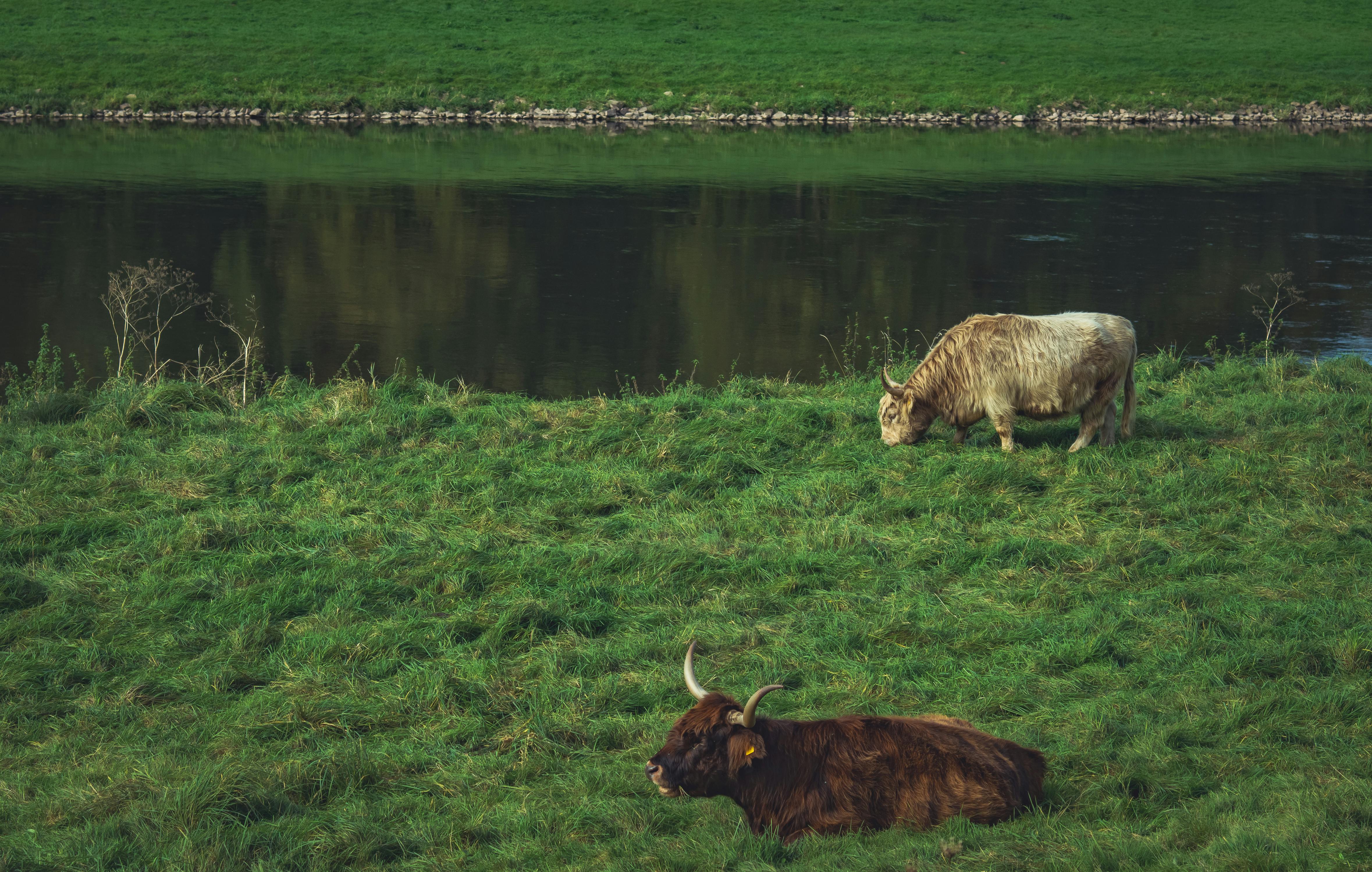 Our Commitment to Sustainability and Regeneration