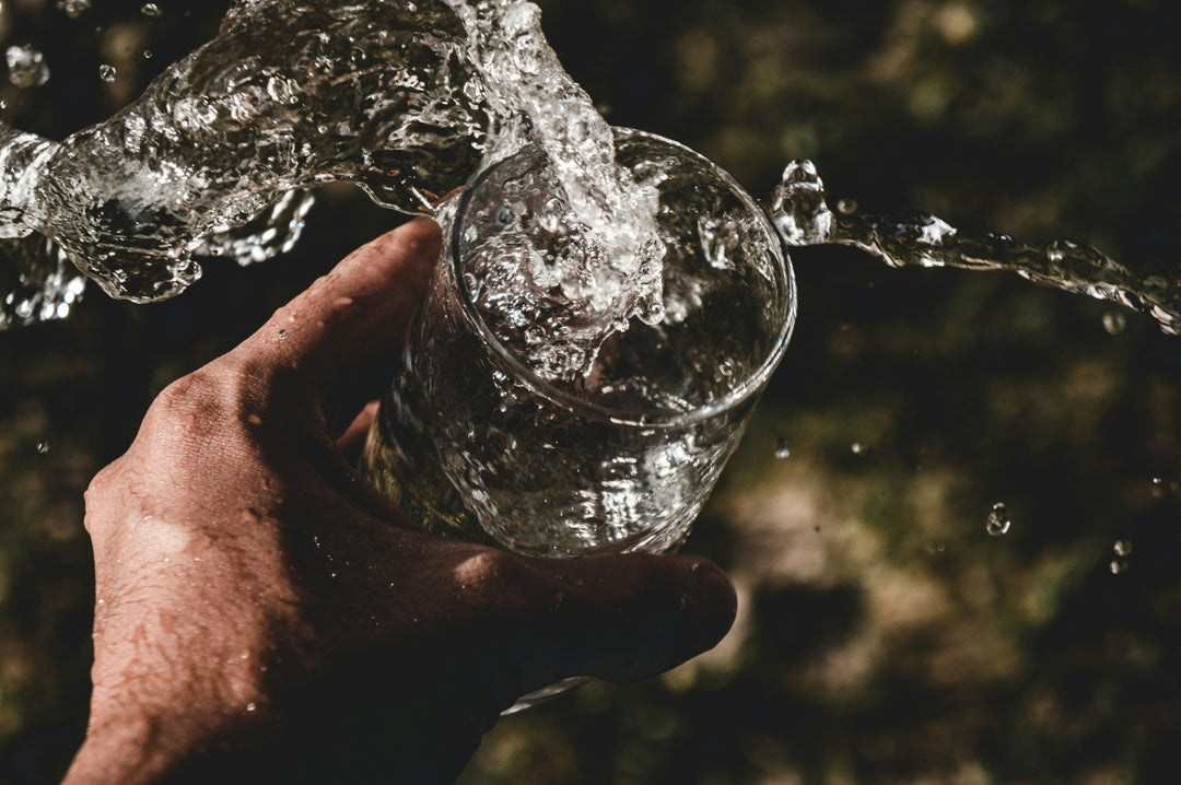 The Forgotten Ingredient: Why the Water in Your Meals Matters More Than You Think