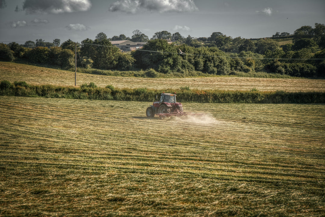 Glyphosate, Pregnancy & Organic Food: Why We Choose Organic for Healing