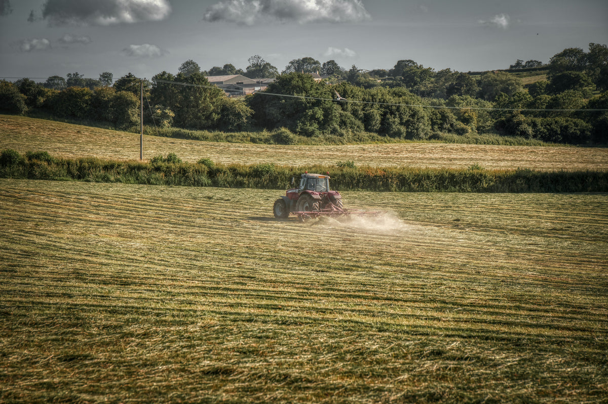 Glyphosate, Pregnancy & Organic Food: Why We Choose Organic for Healing
